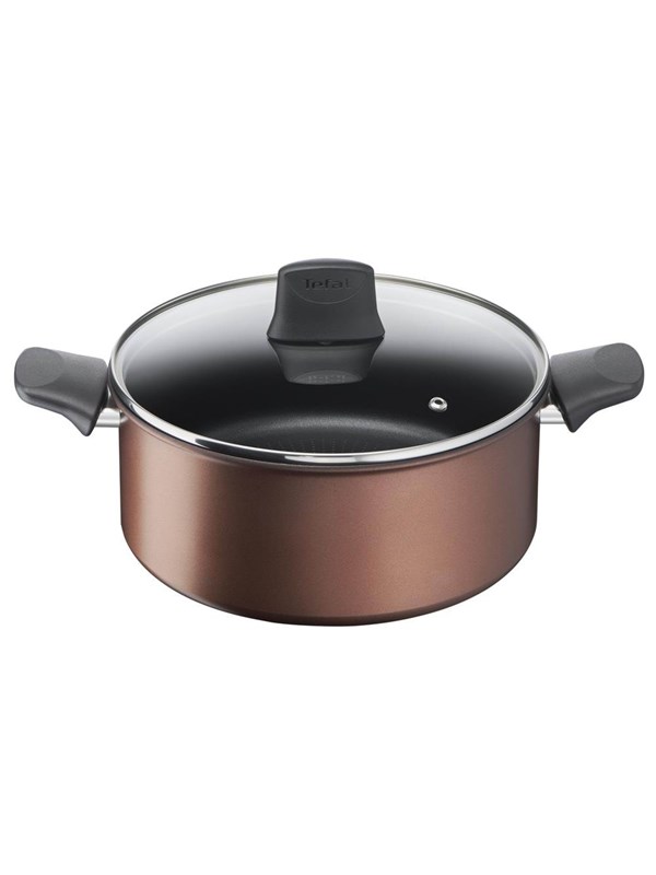 Tefal Resource Gryde 24 cm med låg - Black Friday Udsalg