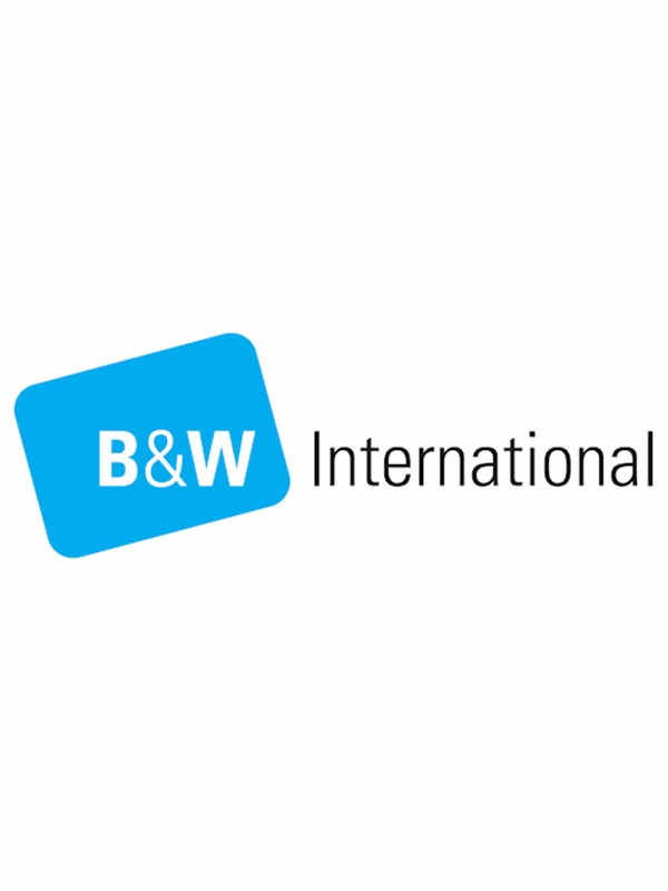 B&w International Rpd 6000   Padded Divider Set For Carrying Case Black Friday B&w International Udsalg